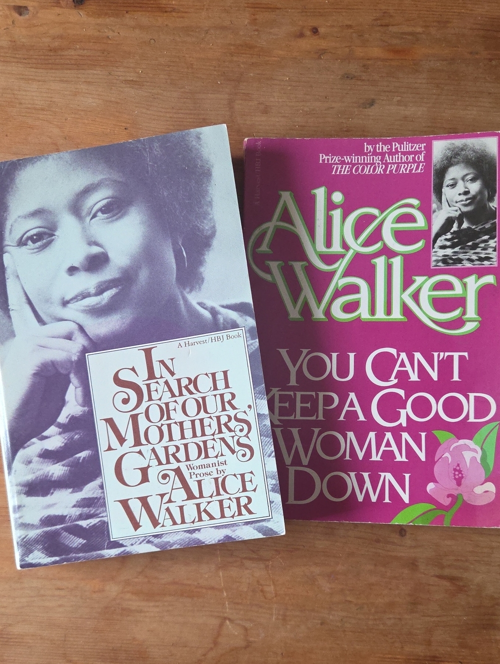 Alice Walker Harvest HBJ Books Bundle Set 1980s Vintage Feminist Prose